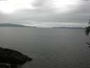 ./images/koeye/fitz-hugh/20170518/fitz-hugh20170518_122702.jpg