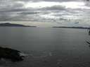 ./images/koeye/fitz-hugh/20170518/fitz-hugh20170518_155703.jpg