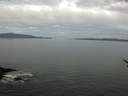 ./images/koeye/fitz-hugh/20170519/fitz-hugh20170519_075703.jpg
