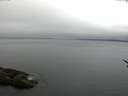 ./images/koeye/fitz-hugh/20170521/fitz-hugh20170521_055702.jpg