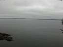 ./images/koeye/fitz-hugh/20170521/fitz-hugh20170521_075703.jpg
