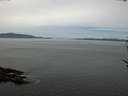 ./images/koeye/fitz-hugh/20170521/fitz-hugh20170521_115702.jpg