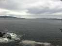 ./images/koeye/fitz-hugh/20170522/fitz-hugh20170522_095701.jpg