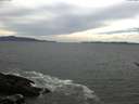 ./images/koeye/fitz-hugh/20170522/fitz-hugh20170522_155702.jpg