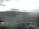 ./images/koeye/fitz-hugh/20170523/fitz-hugh20170523_095701.jpg