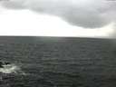 ./images/koeye/fitz-hugh/20170523/fitz-hugh20170523_115701.jpg
