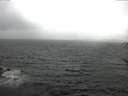 ./images/koeye/fitz-hugh/20170523/fitz-hugh20170523_121501.jpg