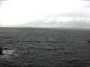 ./images/koeye/fitz-hugh/20170523/fitz-hugh20170523_122102.jpg