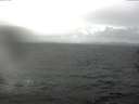 ./images/koeye/fitz-hugh/20170523/fitz-hugh20170523_122403.jpg