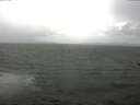 ./images/koeye/fitz-hugh/20170523/fitz-hugh20170523_122703.jpg