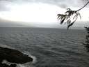 ./images/koeye/fitz-hugh/20170524/fitz-hugh20170524_055702.jpg