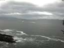 ./images/koeye/fitz-hugh/20170524/fitz-hugh20170524_095702.jpg