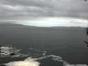 ./images/koeye/fitz-hugh/20170524/fitz-hugh20170524_115701.jpg