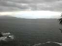 ./images/koeye/fitz-hugh/20170524/fitz-hugh20170524_122403.jpg