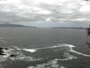./images/koeye/fitz-hugh/20170524/fitz-hugh20170524_135703.jpg
