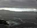 ./images/koeye/fitz-hugh/20170524/fitz-hugh20170524_155703.jpg