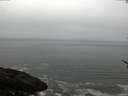 ./images/koeye/fitz-hugh/20170526/fitz-hugh20170526_075701.jpg