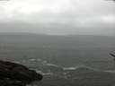 ./images/koeye/fitz-hugh/20170526/fitz-hugh20170526_095703.jpg