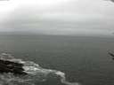 ./images/koeye/fitz-hugh/20170526/fitz-hugh20170526_115702.jpg