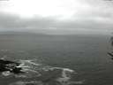 ./images/koeye/fitz-hugh/20170526/fitz-hugh20170526_121502.jpg