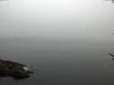 ./images/koeye/fitz-hugh/20170527/fitz-hugh20170527_055701.jpg
