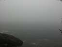 ./images/koeye/fitz-hugh/20170527/fitz-hugh20170527_095702.jpg