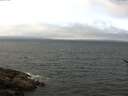 ./images/koeye/fitz-hugh/20170528/fitz-hugh20170528_121502.jpg