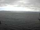 ./images/koeye/fitz-hugh/20170528/fitz-hugh20170528_155702.jpg