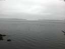 ./images/koeye/fitz-hugh/20170529/fitz-hugh20170529_055701.jpg
