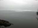 ./images/koeye/fitz-hugh/20170529/fitz-hugh20170529_075701.jpg