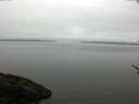./images/koeye/fitz-hugh/20170529/fitz-hugh20170529_095703.jpg