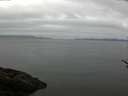 ./images/koeye/fitz-hugh/20170529/fitz-hugh20170529_121502.jpg