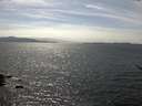 ./images/koeye/fitz-hugh/20170529/fitz-hugh20170529_155702.jpg