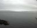 ./images/koeye/fitz-hugh/20170530/fitz-hugh20170530_075703.jpg