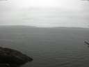 ./images/koeye/fitz-hugh/20170530/fitz-hugh20170530_095702.jpg