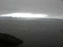 ./images/koeye/fitz-hugh/20170530/fitz-hugh20170530_121501.jpg