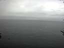 ./images/koeye/fitz-hugh/20170531/fitz-hugh20170531_055701.jpg