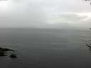 ./images/koeye/fitz-hugh/20170531/fitz-hugh20170531_075703.jpg