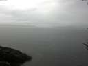 ./images/koeye/fitz-hugh/20170531/fitz-hugh20170531_115702.jpg