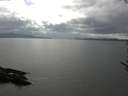 ./images/koeye/fitz-hugh/20170531/fitz-hugh20170531_155701.jpg