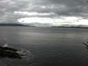 ./images/koeye/fitz-hugh/20170601/fitz-hugh20170601_095702.jpg