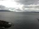 ./images/koeye/fitz-hugh/20170601/fitz-hugh20170601_115701.jpg