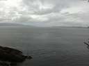 ./images/koeye/fitz-hugh/20170601/fitz-hugh20170601_122401.jpg