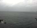 ./images/koeye/fitz-hugh/20170602/fitz-hugh20170602_075702.jpg