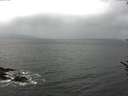 ./images/koeye/fitz-hugh/20170602/fitz-hugh20170602_095702.jpg