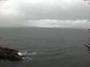 ./images/koeye/fitz-hugh/20170602/fitz-hugh20170602_115701.jpg