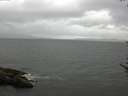 ./images/koeye/fitz-hugh/20170602/fitz-hugh20170602_121501.jpg