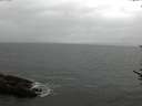 ./images/koeye/fitz-hugh/20170602/fitz-hugh20170602_122401.jpg