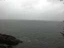 ./images/koeye/fitz-hugh/20170602/fitz-hugh20170602_135702.jpg