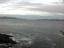 ./images/koeye/fitz-hugh/20170604/fitz-hugh20170604_055703.jpg